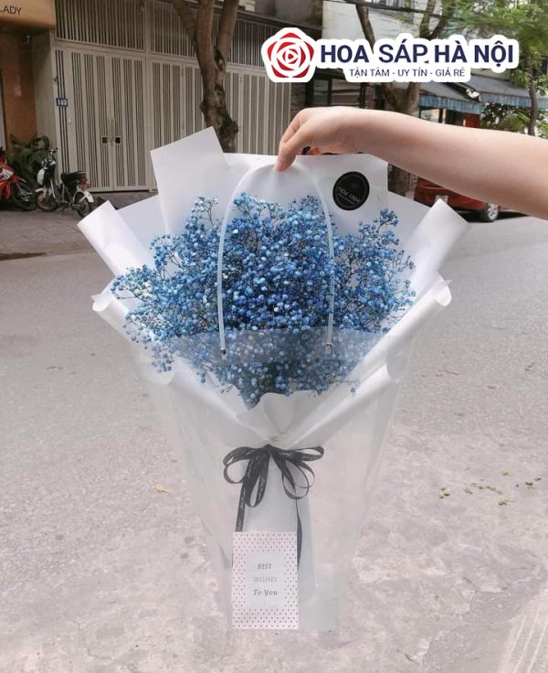 hoa bi xanh