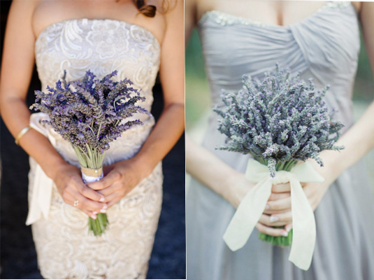 hoa-lavender