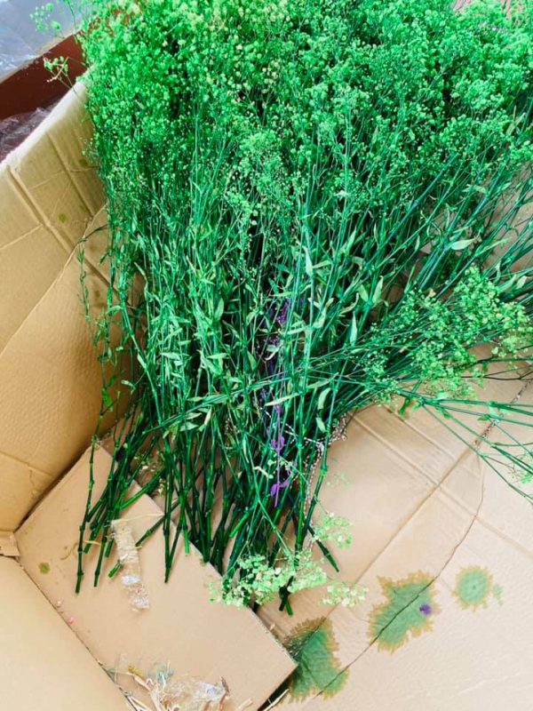 hoa khô bị chảy mồ hôi