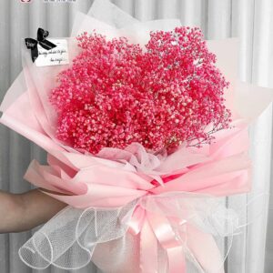 Hoa baby khô hồng
