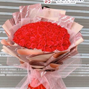 hoa sáp đỏ 50 bông