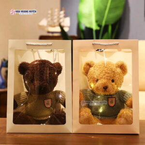 gấu teddy kèm túi xách