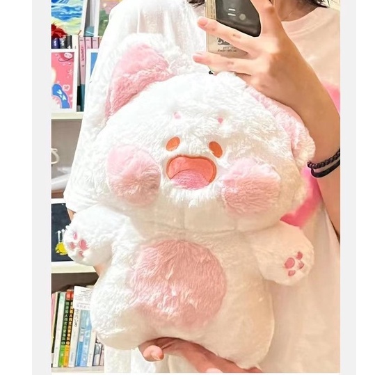 Gấu bông cute
