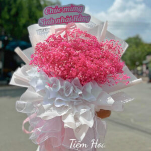 Hoa baby khô (Chỉ cần có em)
