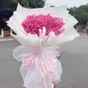 hoa baby hồng (2)