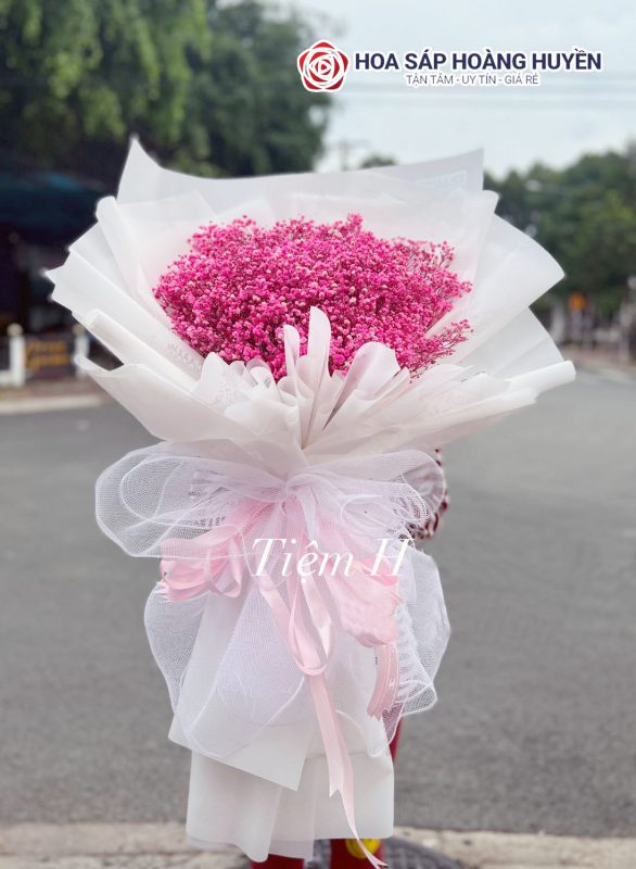 hoa baby hồng (2)