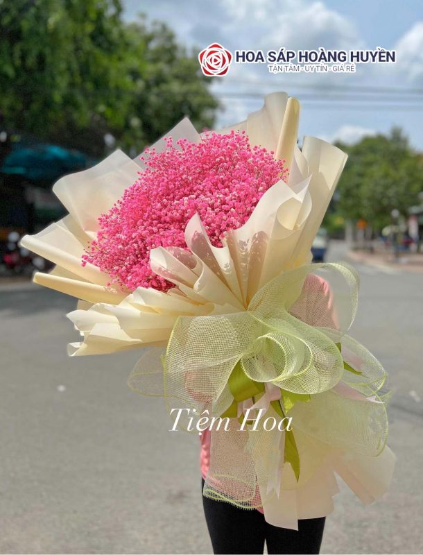 hoa baby hồng (3)