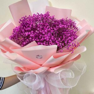 Hoa baby hồng tím