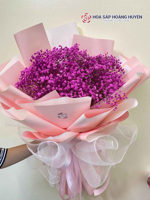 hoa baby hồng tím
