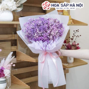Hoa baby khô tím