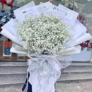 hoa baby trắng (3)