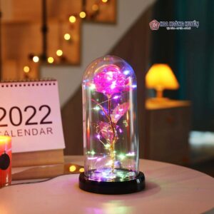 Hoa Hồng Nhân Tạo Có Đèn LED (4)