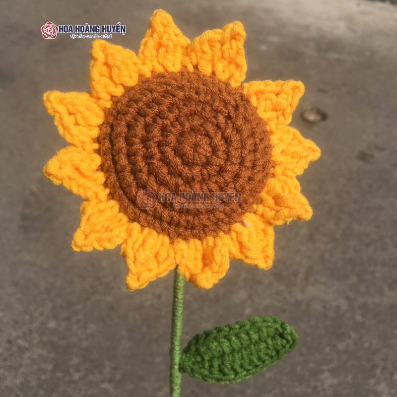 hoa hướng dương len lẻ bông (2)