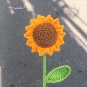 hoa hướng dương len lẻ bông (3)