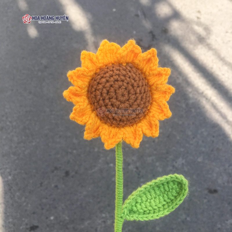 hoa hướng dương len lẻ bông (3)
