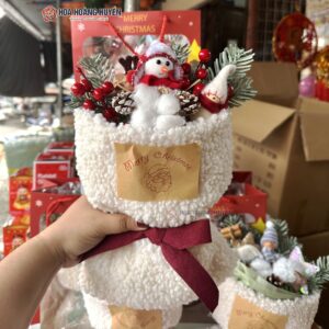 hoa noel