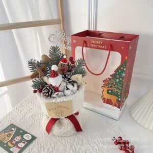 Hoa noel quà tặng giáng sinh