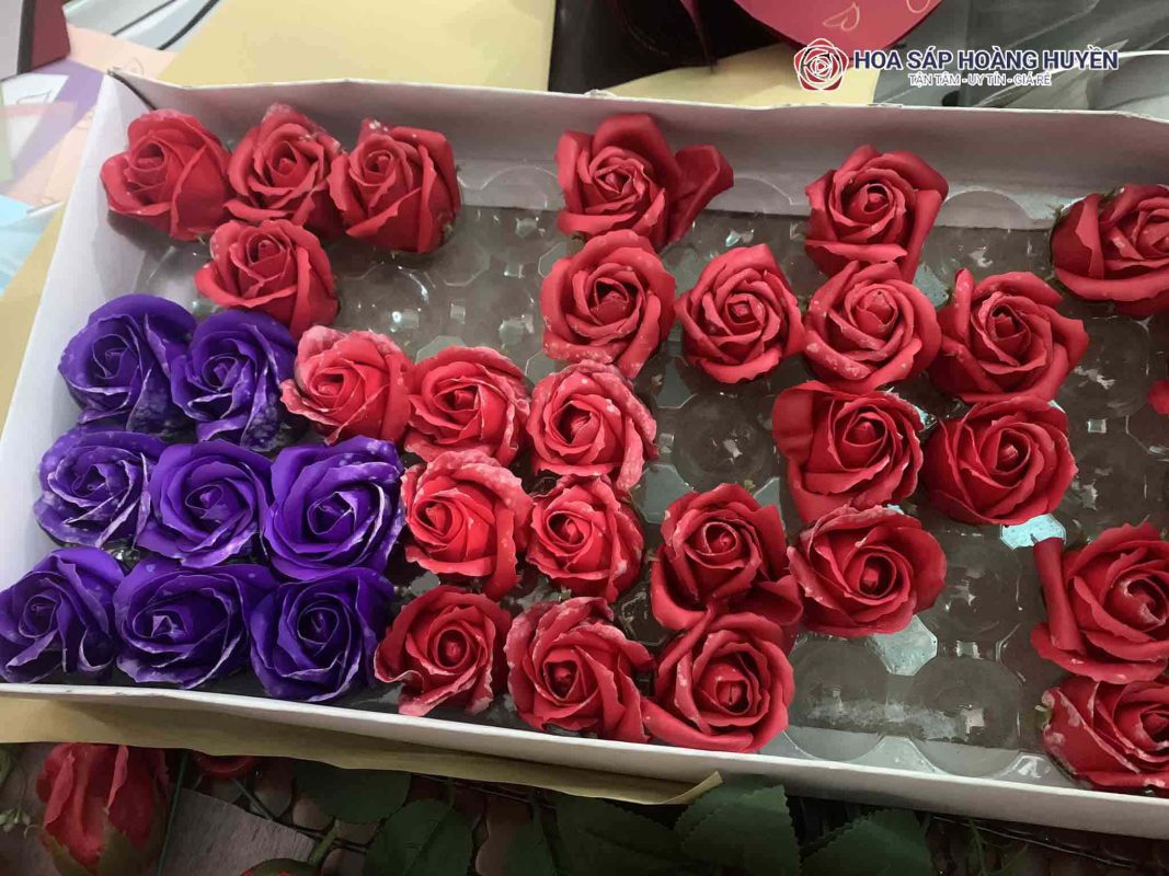 hoa sáp bị mốc