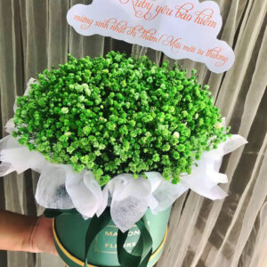 hộp trụ hoa bi để bàn